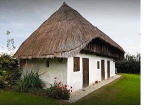 Tipologia_Trevigiana